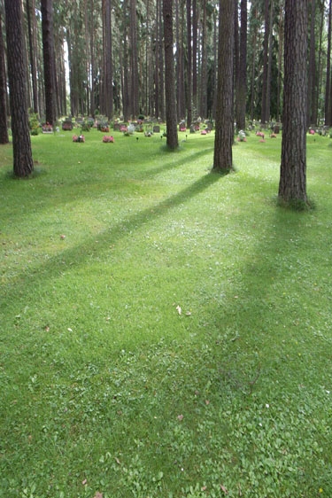 森の教会前の緑